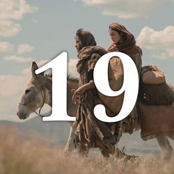 Dan 19