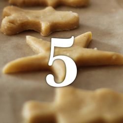 Dan 5